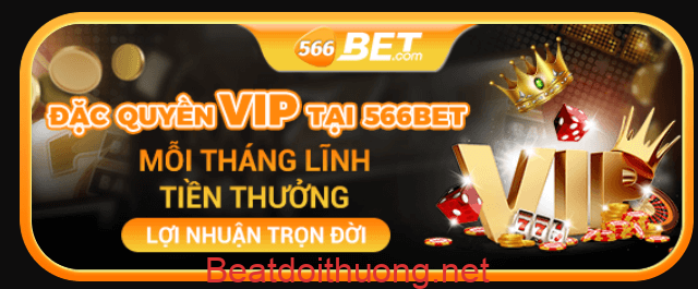 566bet